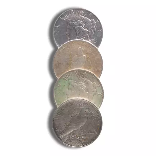 Peace Silver Dollar (Random Year/Mint) (Any Condition F-BU)