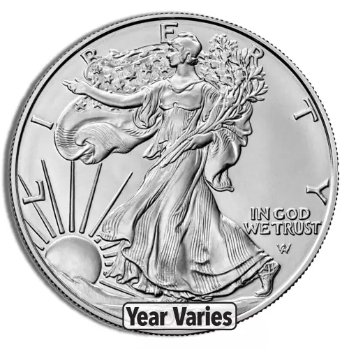 1 oz American Silver Eagle (Random Year)