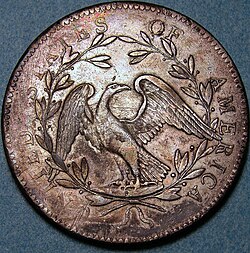 flowing hair dollar back