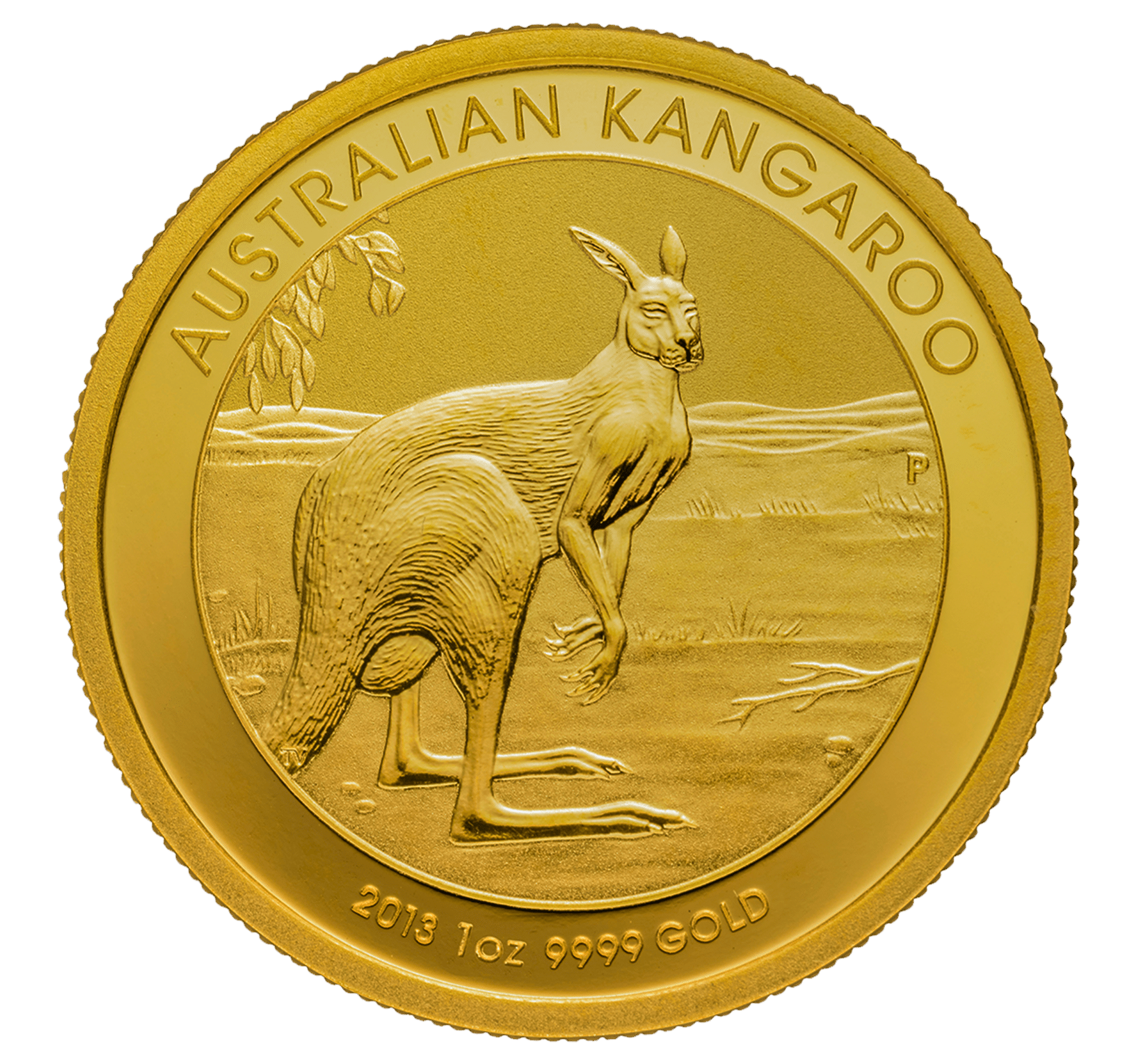1-ounce Gold Kangaroo coin showcased on a plush surface.