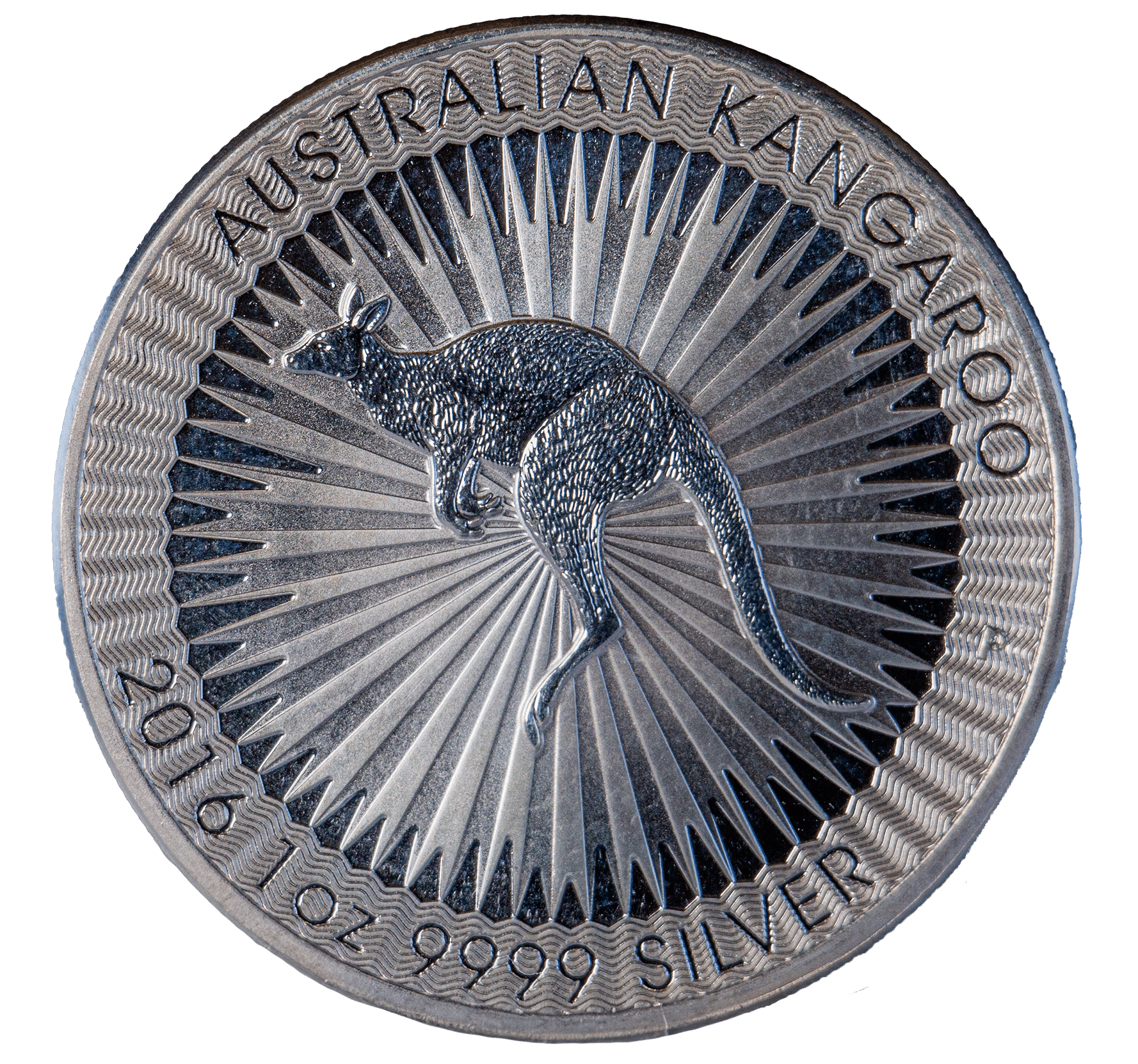 1-ounce Australian Silver Kangaroo coin against a muted background.