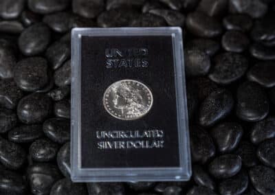 Uncirculated Silver Dollar