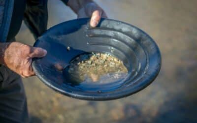 Find Gold: Prospecting & Panning
